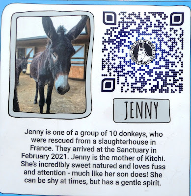 Poster about rescue Donkey