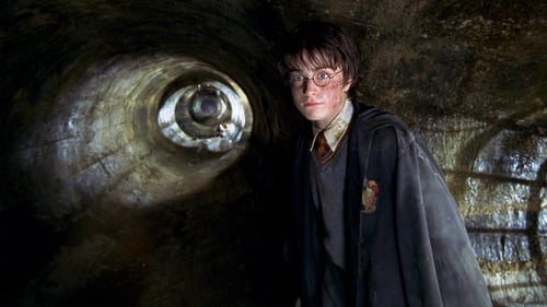 Harry Potter e la camera dei segreti 2002 1080p italiano
