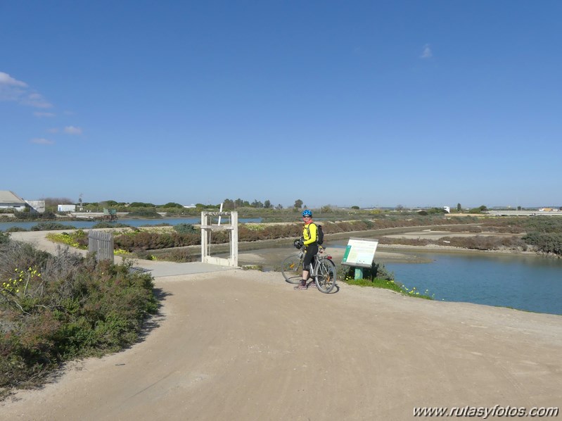 Marisma de los Toruños y Pinar de la Algaida