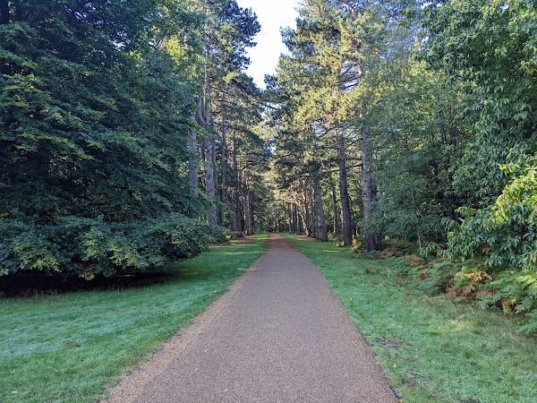 A tree-lined path, part of the course