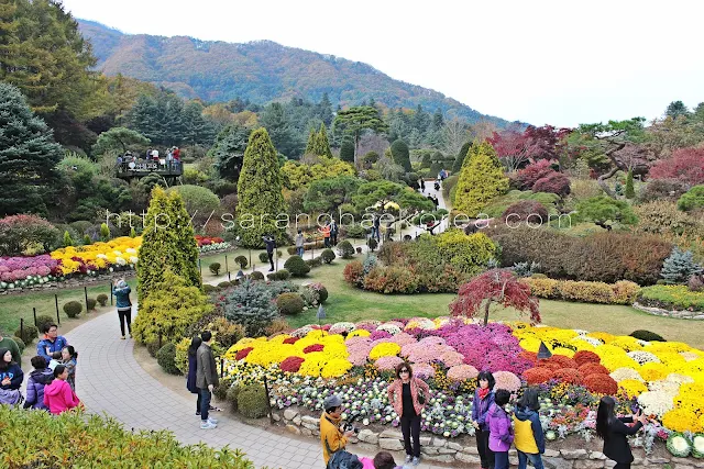 The Garden of the Morning Calm during Autumn