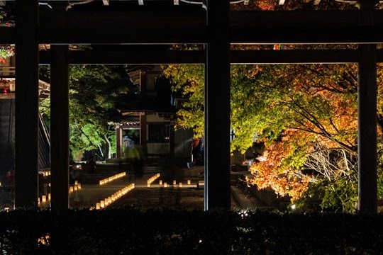 20141108-IMG_1952