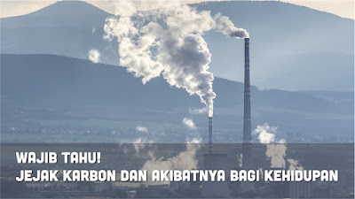 Jejak Karbon dan Akibatnya bagi bumi