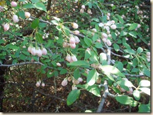 P4090016