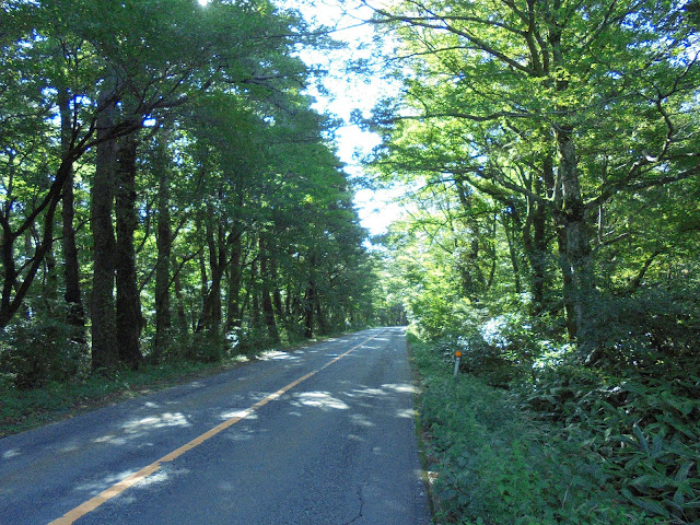 158号道路大山口停車場大山線を昇ります