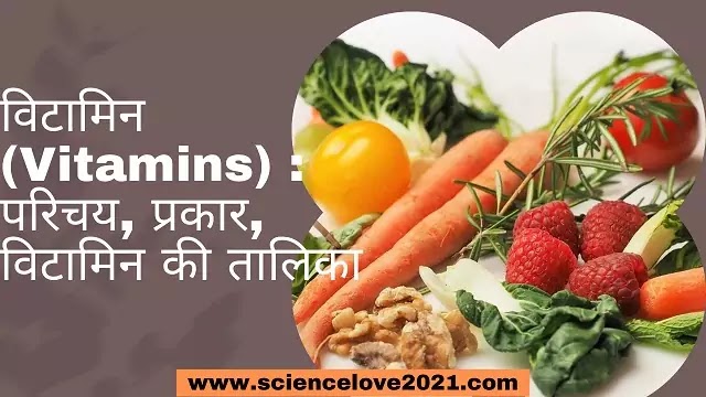 विटामिन (Vitamins) : परिचय, प्रकार, विटामिन की तालिका|hindi