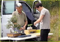 Bonsai Tree Buy! :Orlando Bloom