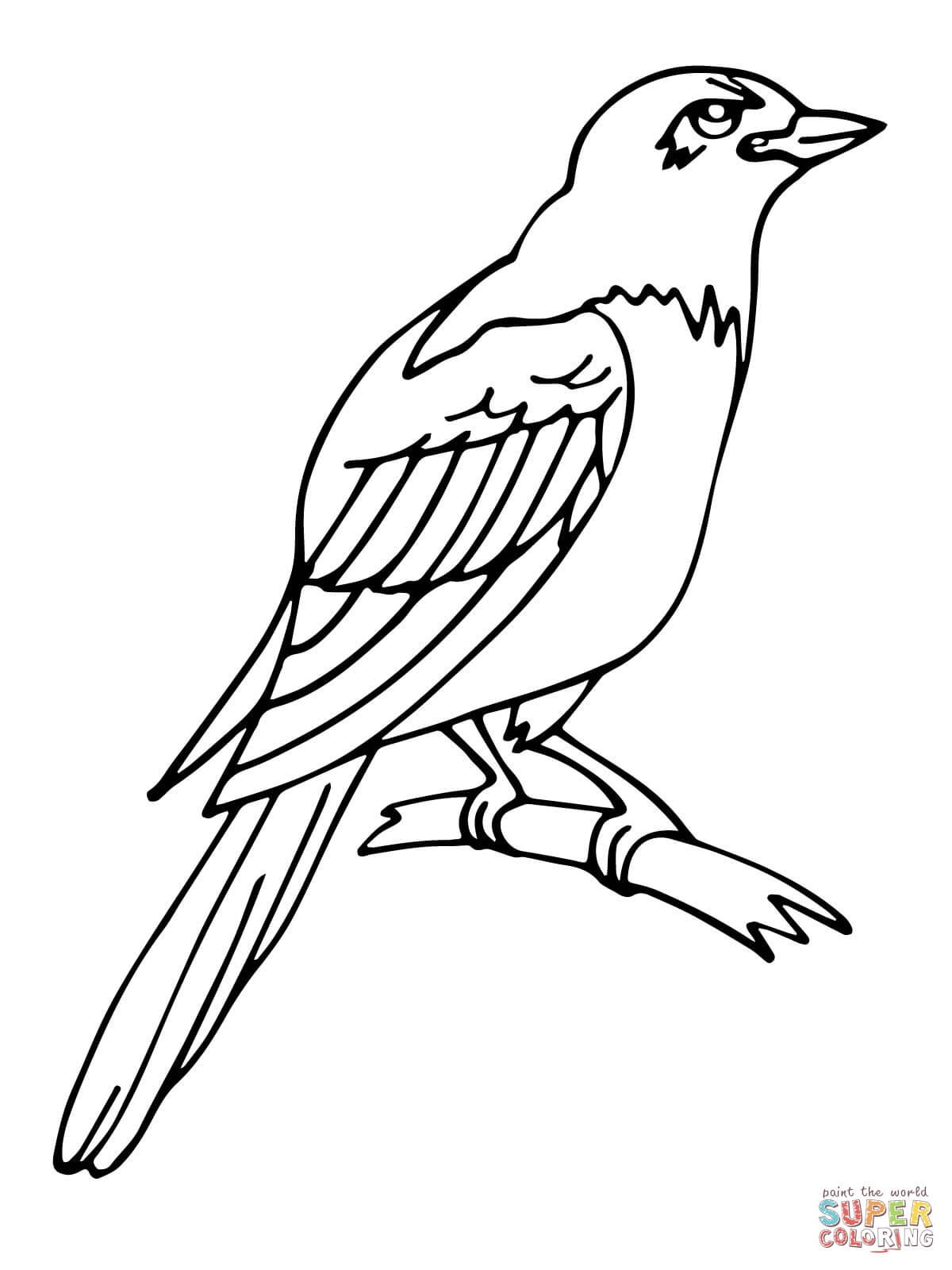Contoh Gambar Mewarnai Binatang Burung KataUcap