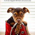 Download Film A Dog’s Way Home (2019) Full Movie
