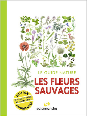 Le guide nature : Les fleurs sauvages