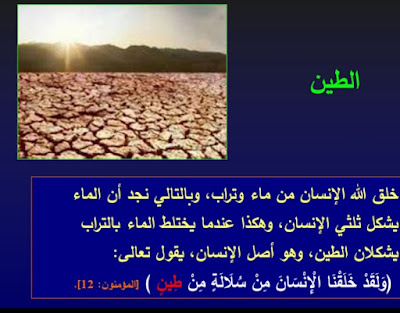 رحله مذهله مع خلق الانسان