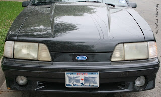 1987 Mustang 5.0 with 6 Piece Headlights
