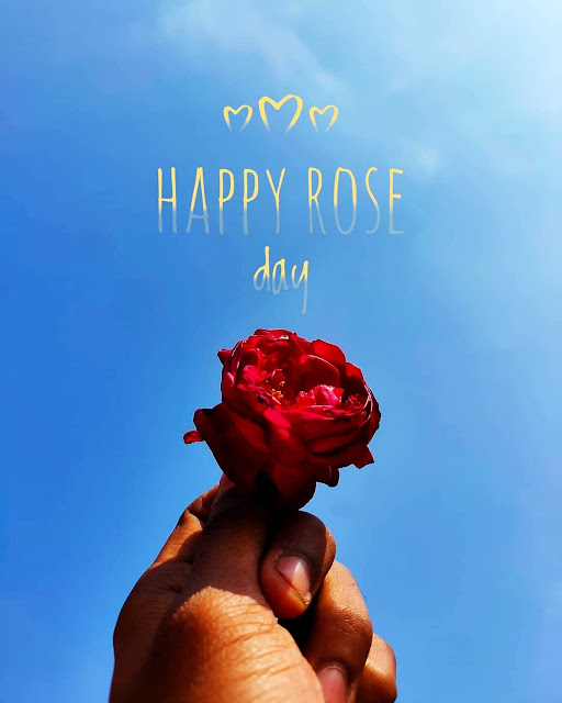 Happy Rose Day Images