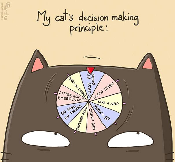 15+ Comics That Purrfectly Capture Life With Cats