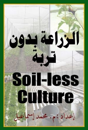 الزراعة بدون تربة