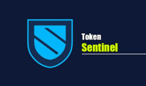 Sentinel, DVPN coin