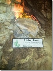 NBCaverns 010