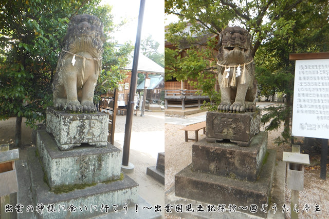 万九千神社・立虫神社　御神木　木俣さん