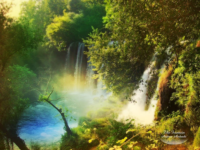 whatsapp-dp-Nature-HD-Wallpaper