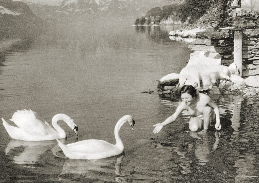 Feeding The Swans