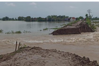 Tanggul limpasan sungai Tuntang Demak jebol