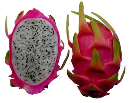 asia fruit