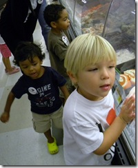 Nature Walk, Open House, etc 082