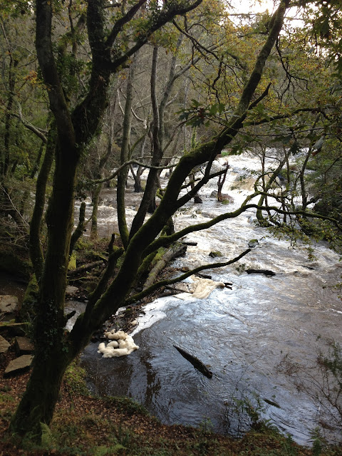 by E.V.Pita / River Anllons - Verdes (Spain, Galicia) Fall 2012