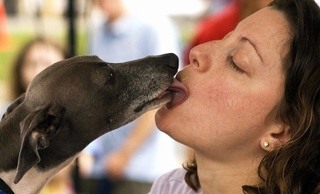 Omg! You Won't Believe What Happened After a Dog Licked the Face of a 70-year-old Woman