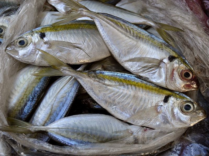 SuaraMuhajirin313 10 Tips Membeli Ikan Segar Di Pasar