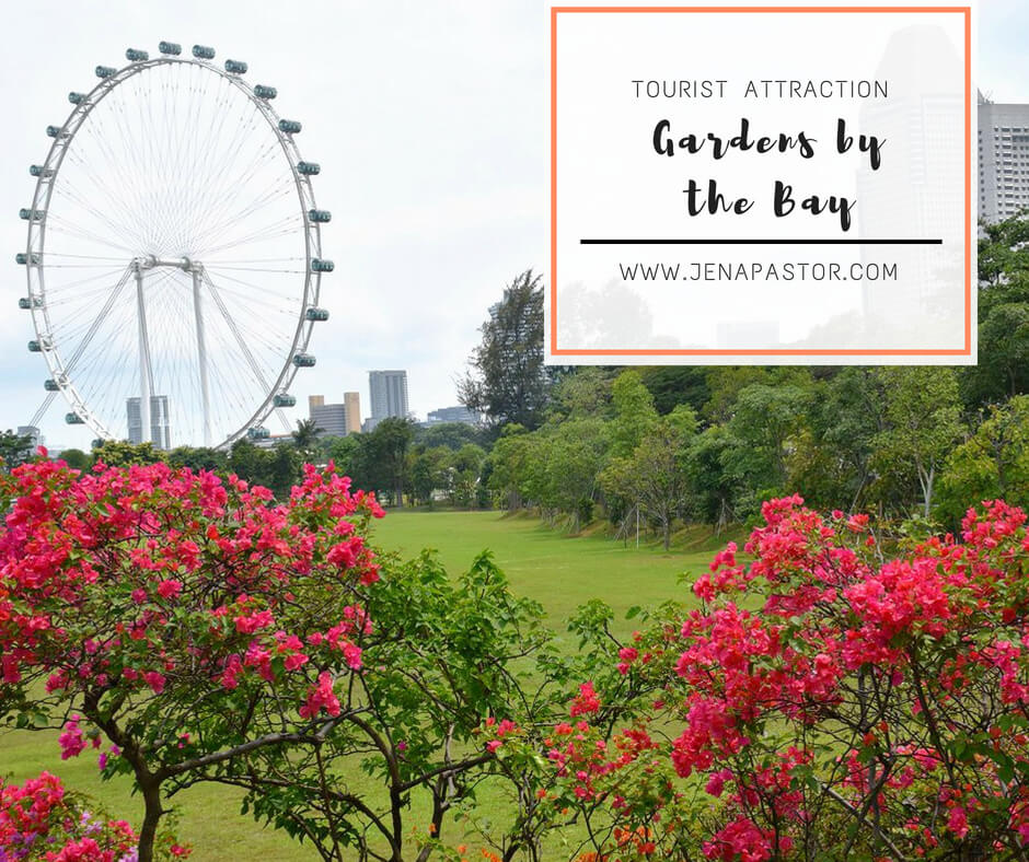 gardens by the bay singapore, singapore flyer