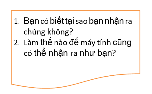 biểu thức chính quy trong lập trình java