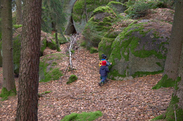 Bilder aus dem Wald: große Granitsteine sind teilweise von Moos überzogen, Kinder suchen nach Räuberspuren.