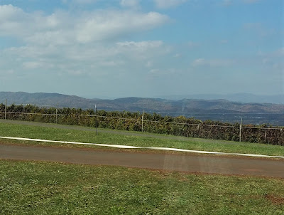 View of the Blue Ridge Mountains from Carter Mountain Orchard