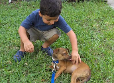 cute kids and dog