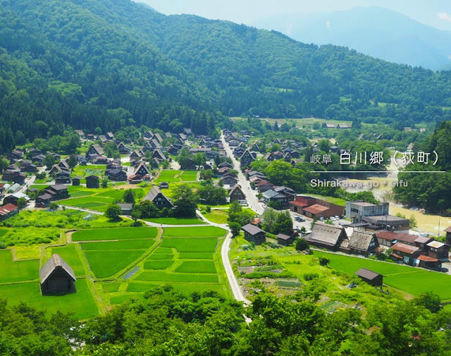 白川郷 荻町合掌造り集落（夏の風景）