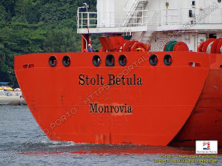 Stolt Betula