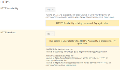 HTTPS availability is being process, we need to wait a few moment and refresh the page