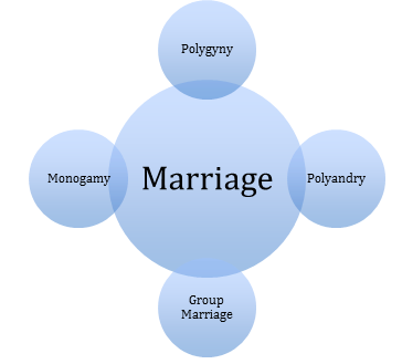 Meaning, Purpose & Types of Marriage