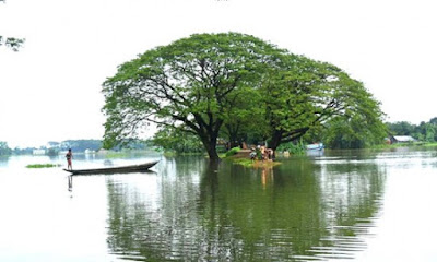 হাওর পাড়ে শুধুই দীর্ঘশ্বাস