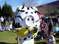 Photo of Children's Chance Mascot Zig the Pig