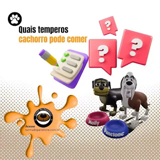 Quais temperos cachorro pode comer