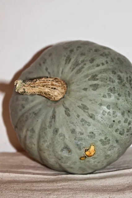 Sweet meat squash.