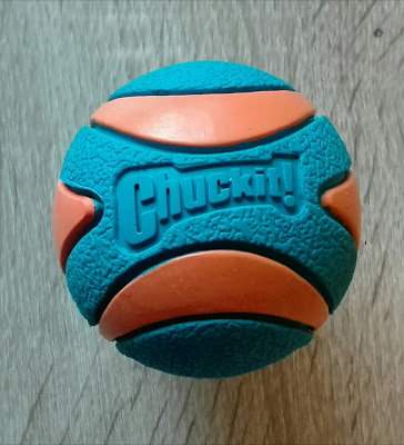 test Ultra Squeaker Ball 