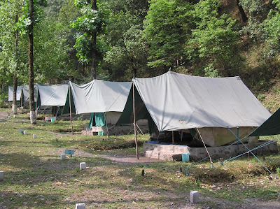 A line of tents at Saatal Jungle camp