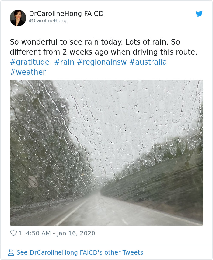 At Last, Rain Poured In Australia Dropping Down The Bushfires From 120 To 88