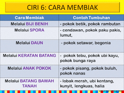 Dunia Sains dan Teknologi (Belajar dengan Ceria): DST 