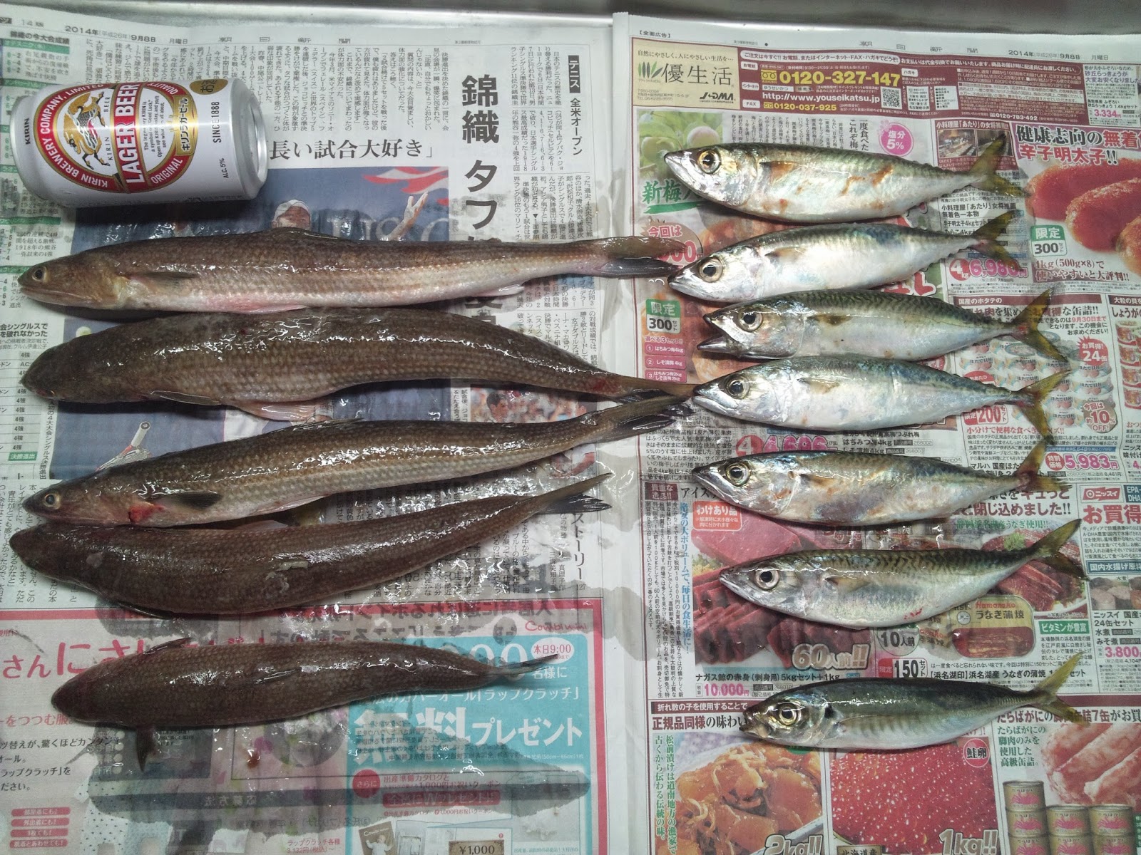 釣りガサブログ エソの刺身