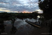 IMG_8223