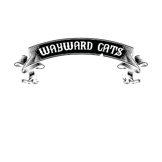 Cat  T-Shirt Design 8